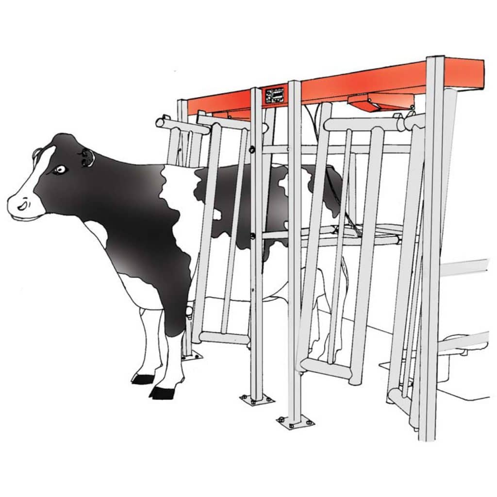 Agromatic Flat Barn Parlor | Fast Milking | Gravity Operated