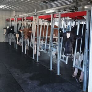 Agromatic's Flat Barn Parlor and flat barn milking parlor mats at the Fond du Lac County Fair in July 2025 with cows being milked.