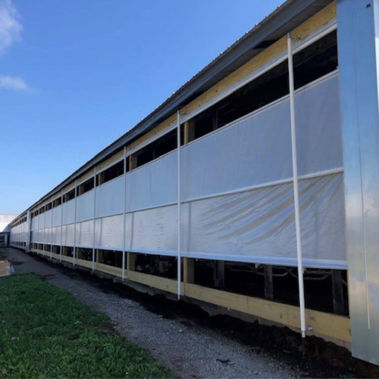 Roll Up Dairy Barn Curtains | AKA Livestock Curtains