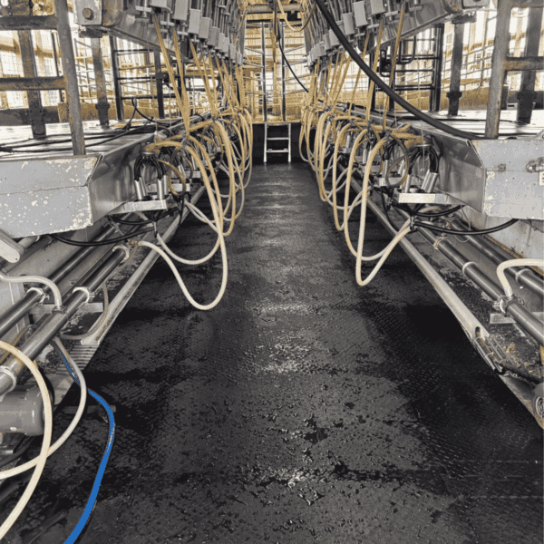 Parlor Pit Mats KRAIBURG PASEO in use in a parlor pit.