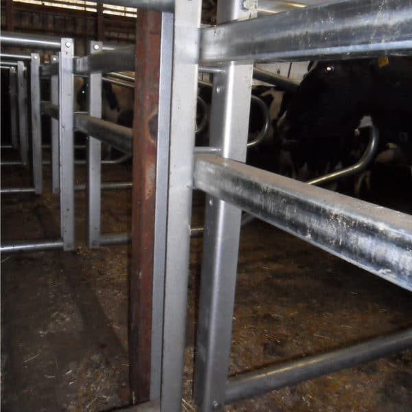 Galvanized bars of the Agromatic Elevated Twin Beam Freestall System.