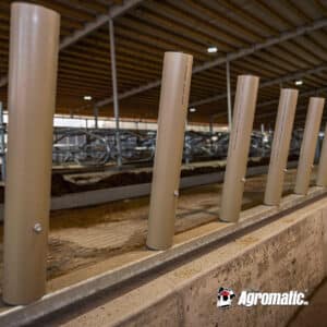 Agromatic FreeFEED cattle feeding system installed in a dairy feed alley.