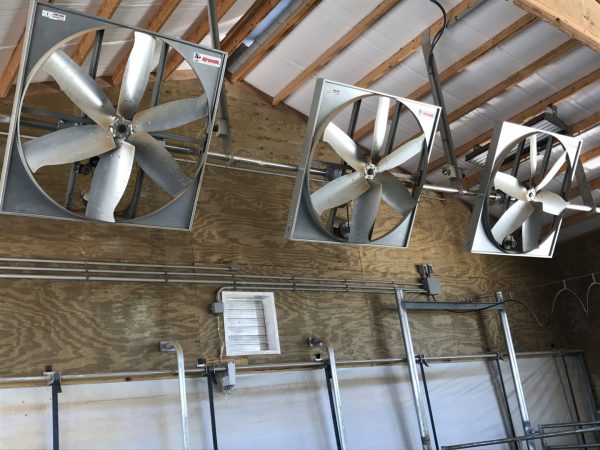 Agro_breeze recirculating panel fans in use.