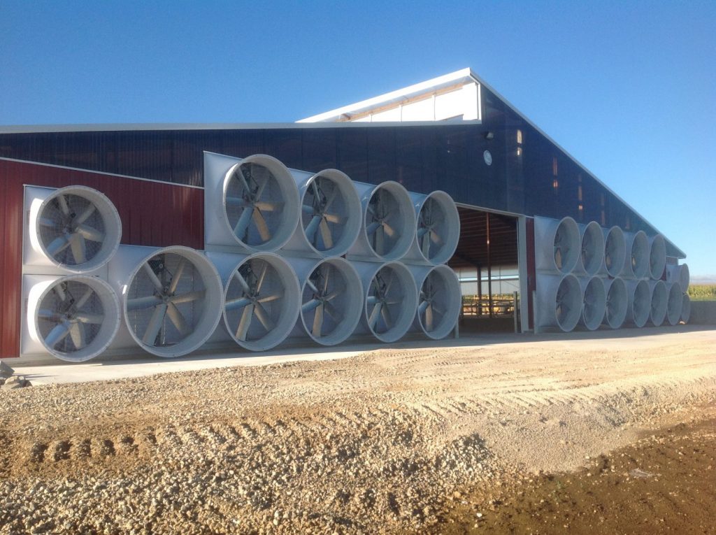 Tunnel ventilation on a dairy farm with exhaust fans.