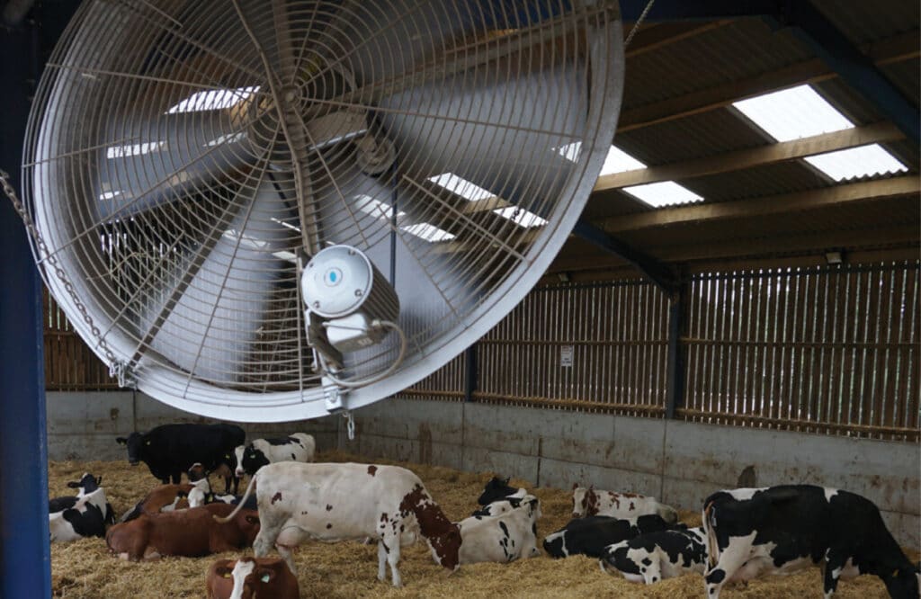 Dairy Farm Panel Fans: Agro Air Dynamics Barn Ventilation
