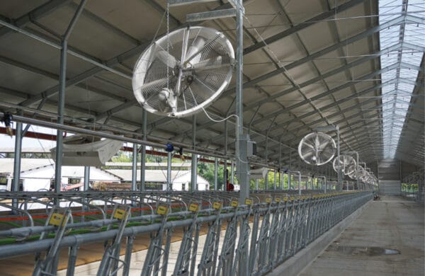 Agro Air Dynamics Panel Fans in barn
