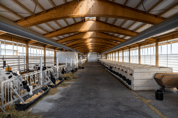 Hillside Dairy Calf Barn