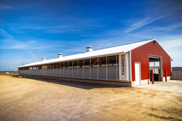 Hillside Dairy Calf Barn