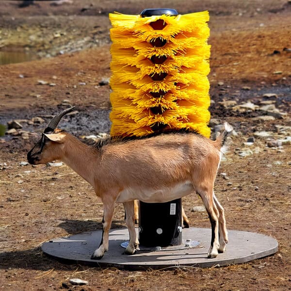 EasySwing Mini Totem scratching post for goats.