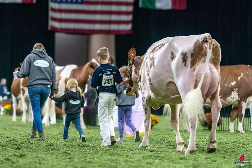 Gem at the 2019 World Dairy Expo in Madison, Wisconsin.