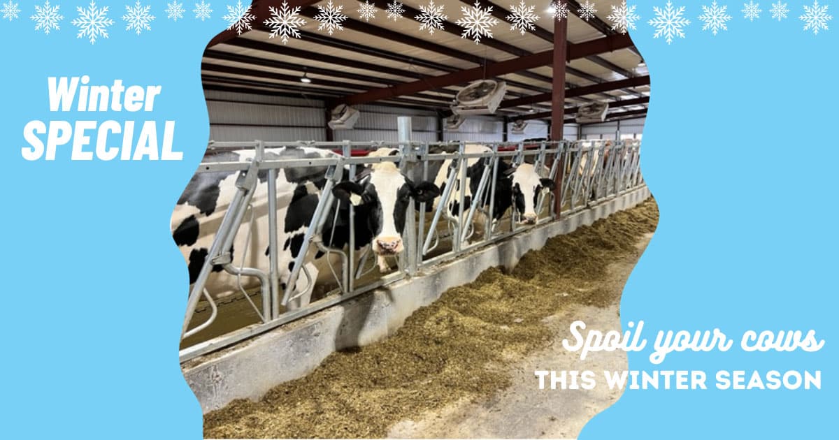 2023 - 2024 Winter Sale special. Spoil your cows this Winter Season