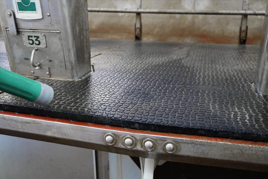 KRAIBURG KURA milking parlor rubber mats on rotary milking machine.