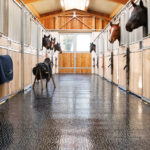 Horse mats in a horse stable with full rubber flooring walkway.