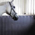 White horse standing next to BELMONDO Rodeo rubber stall wall matting.