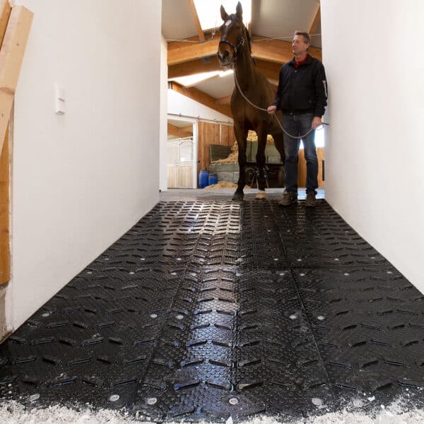 Horse standing above ramp with rubber horse trailer flooring.