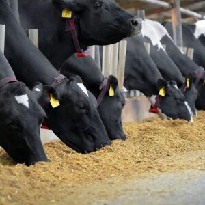 Barn, Feeding & Bedding Equipment