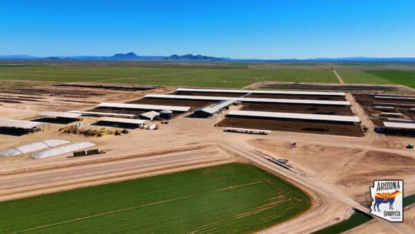 Arizona Dairy Company in Gila Bend, AZ (drone view).