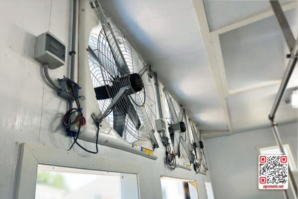 Positive pressure fans in cow barn (inside view).