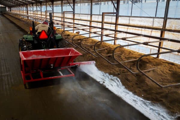 AG Lime Spreader spreading lime in freestall barn with composite solid manure bedding.