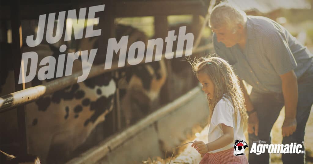 A young girl with her grandfather celebrating June Dairy Month by interacting with holstein cows on the farm.