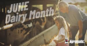 A young girl with her grandfather celebrating June Dairy Month by interacting with holstein cows on the farm.