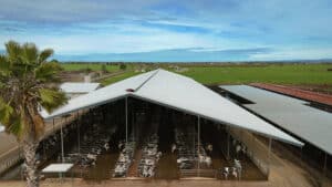 R&S Dairy aerial view of barn using the Agromatic Cyclone EC Motor Direct Drive fans.