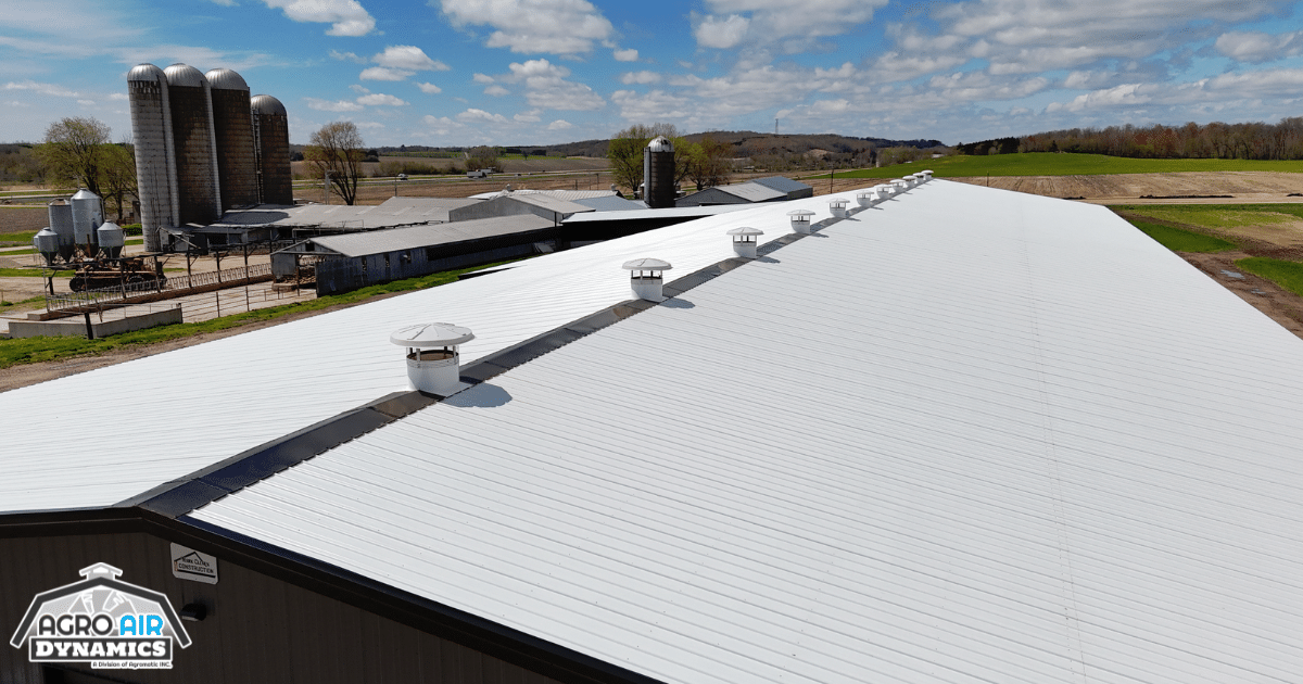 Round barn chimneys along roof of dairy barn.