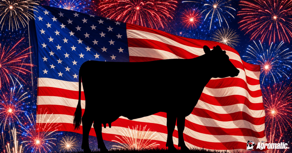 Dairy cow in front of American flag celebrating the history of dairy farming in America