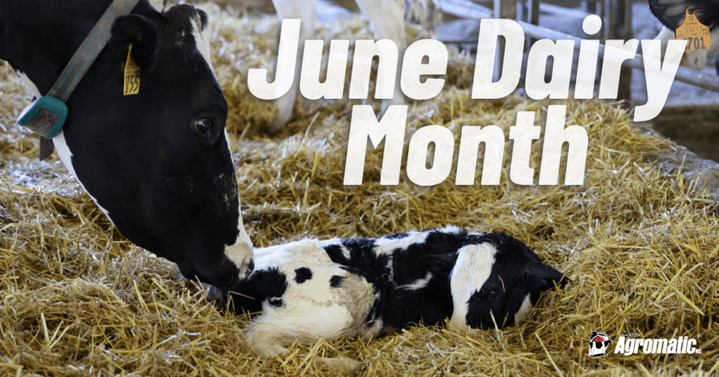 Celebrating June Dairy Month 2026