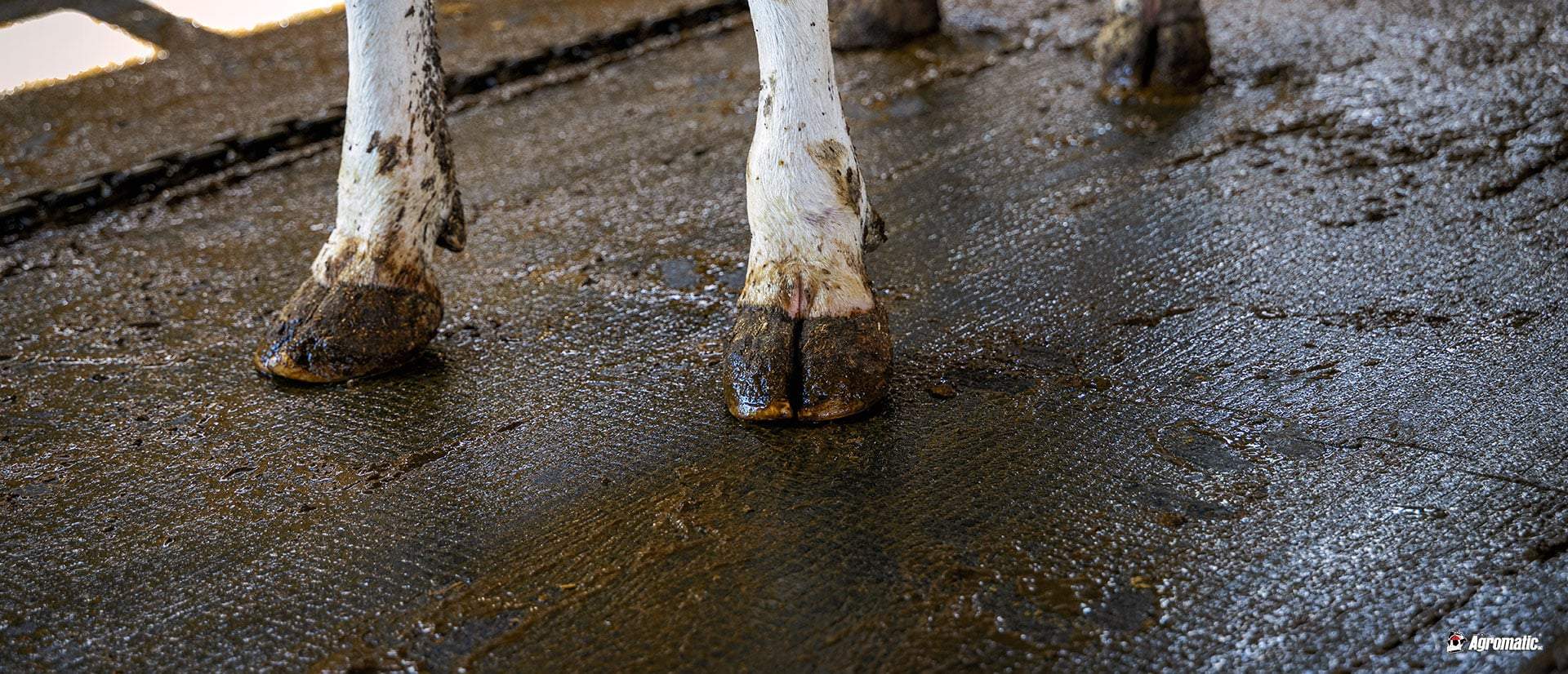 KRAIBURG KURA rubber flooring installed for 20 years.