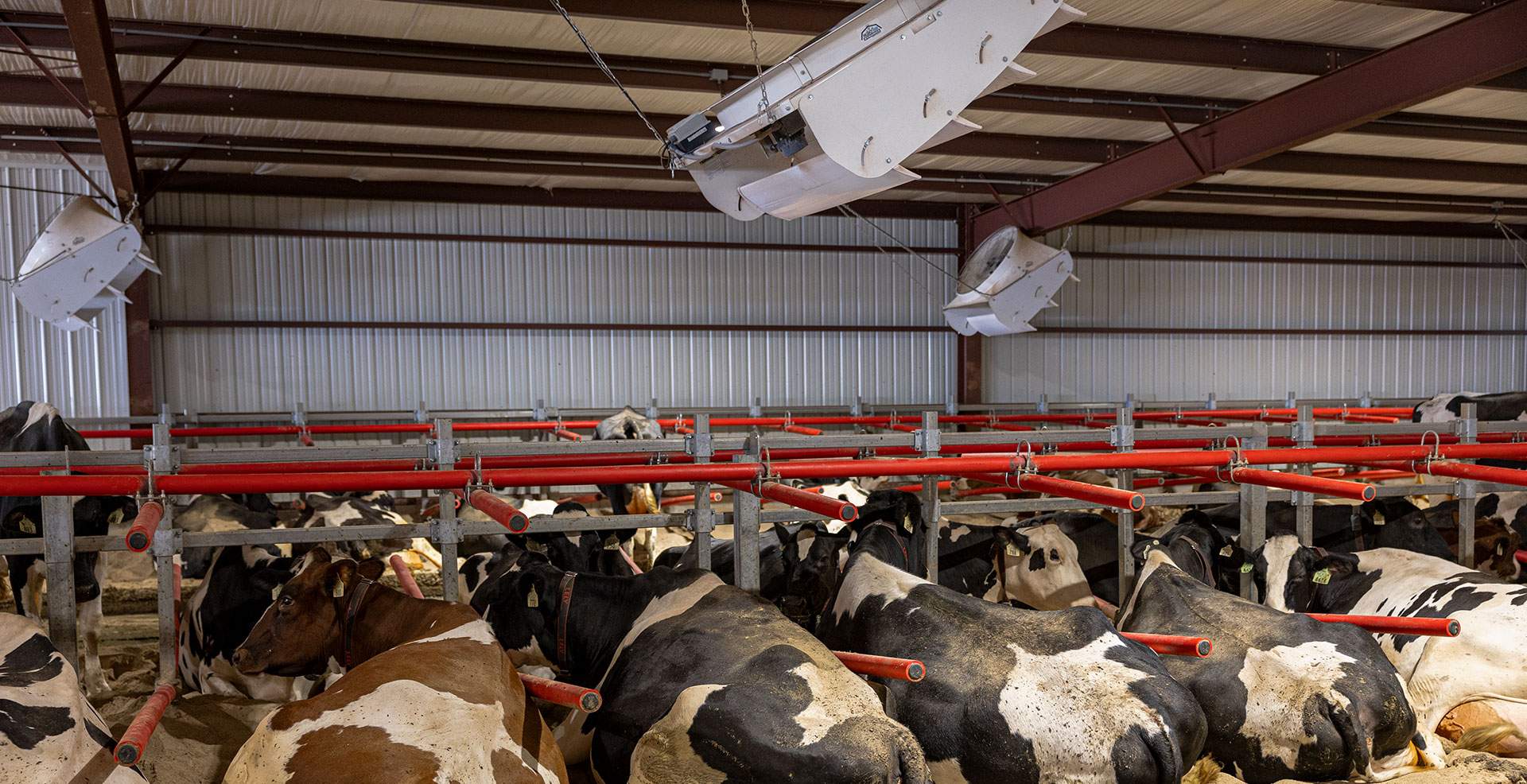 Cyclone dairy barn fans.