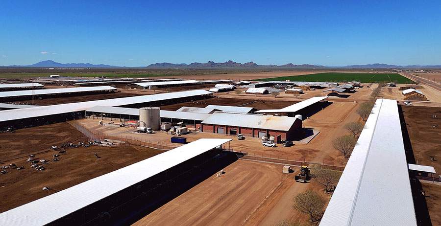 Arizona dairy farm with a mountain view.